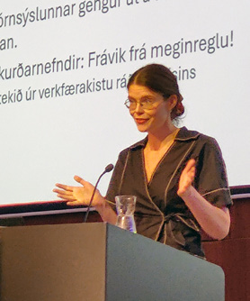 stjornsysludomstoll_3