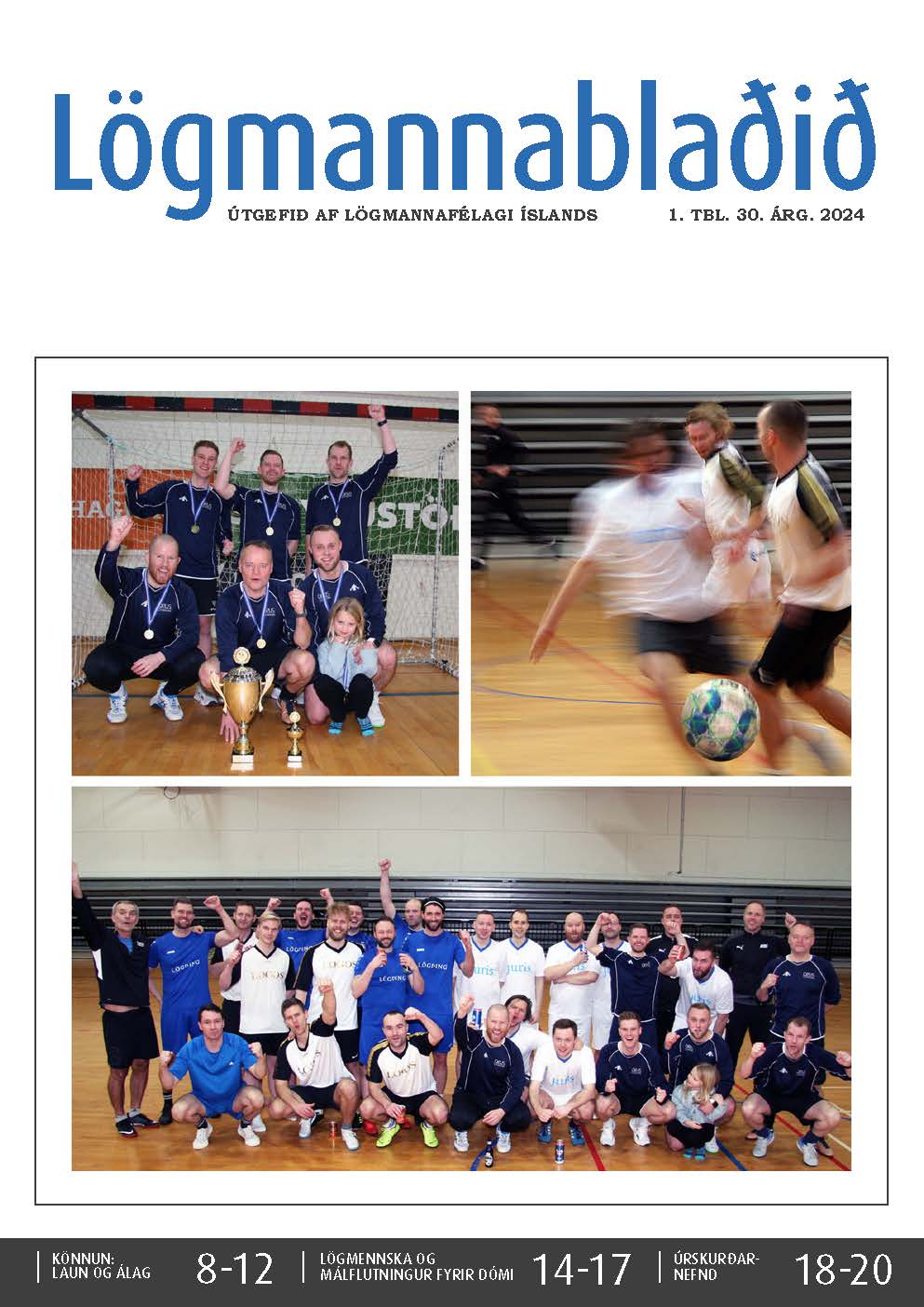 Lögmannablaðið 2016, 3 tölublað, 22 árgangur