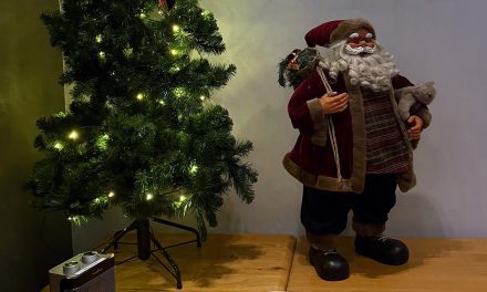 Íslenskir lögfræðingar á erlendri grundu