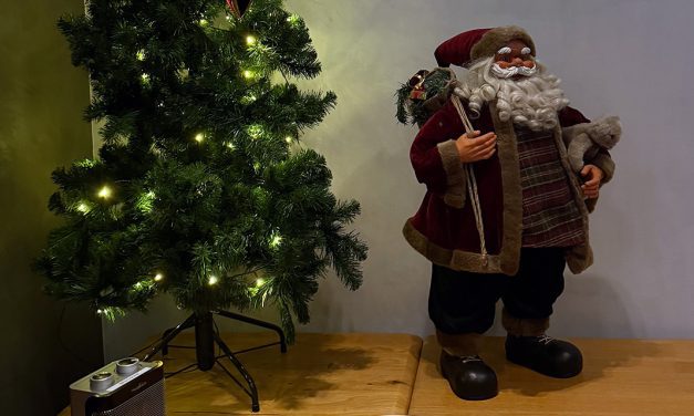 Íslenskir lögfræðingar á erlendri grundu